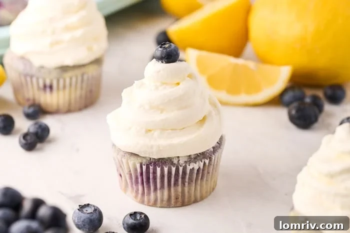 Close-up of fluffy Lemon Blueberry Cupcakes