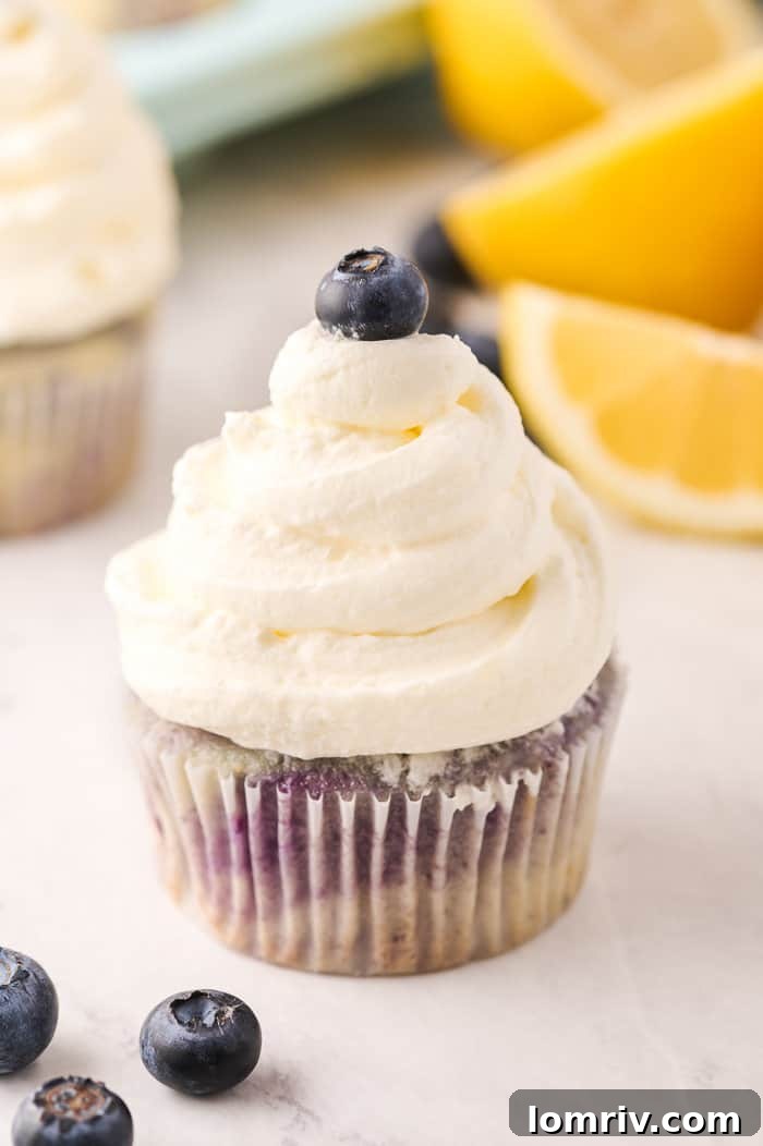 Top-down view of Lemon Blueberry Cupcakes on a cooling rack