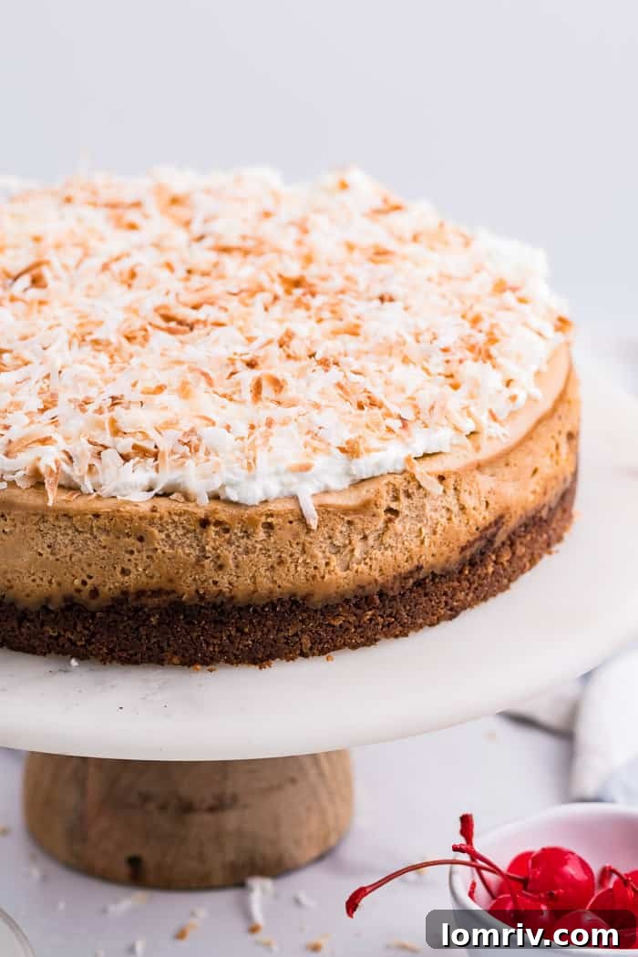 Coconut Cheesecake Recipe