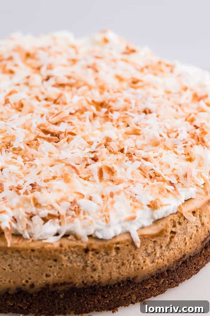 Coconut Cheesecake Recipe