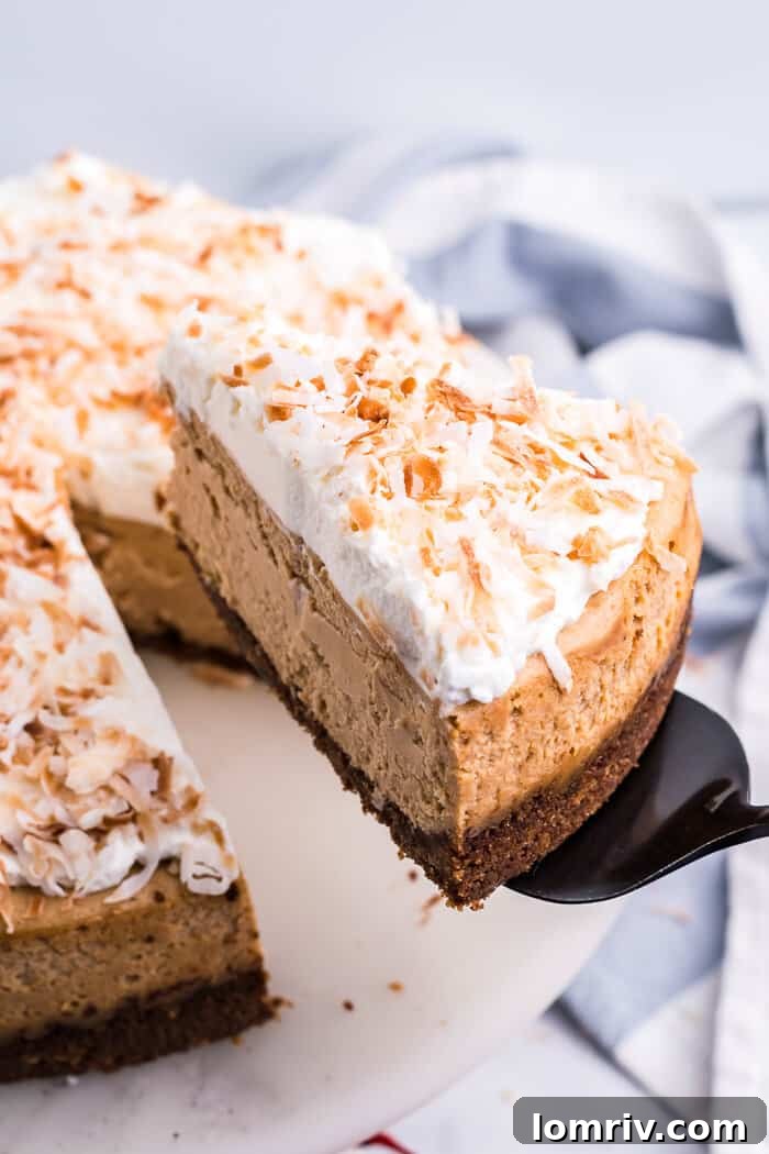 Coconut Cheesecake Recipe