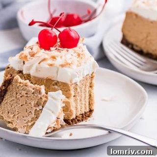 Coconut Cheesecake Recipe