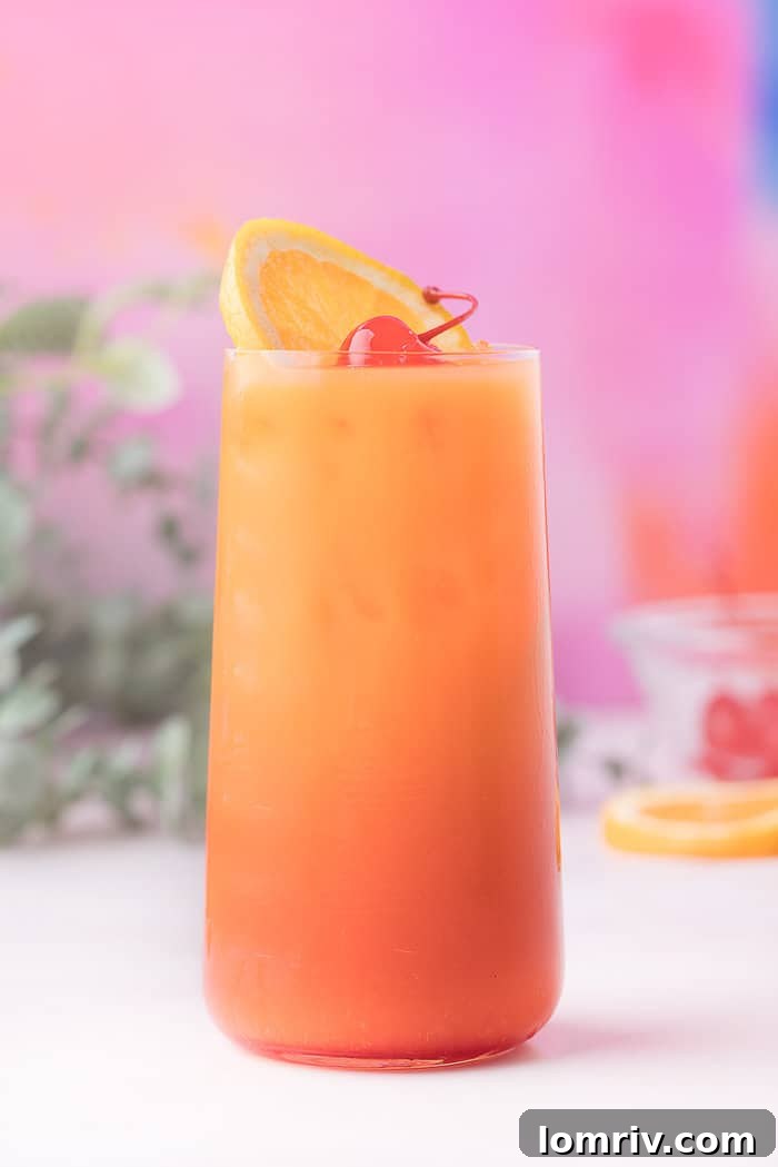 A perfectly crafted single Tequila Sunrise cocktail in a tall glass, ready for enjoyment.