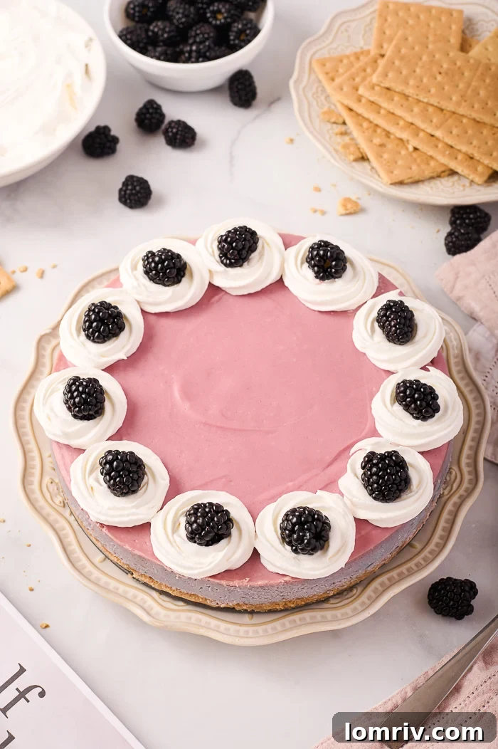 Blackberry Cheesecake