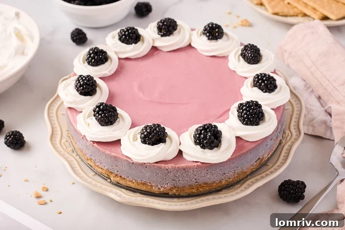 Blackberry Cheesecake
