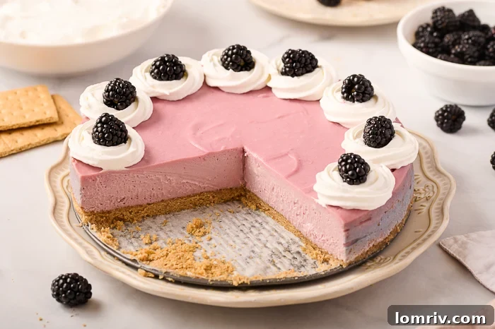 Blackberry Cheesecake