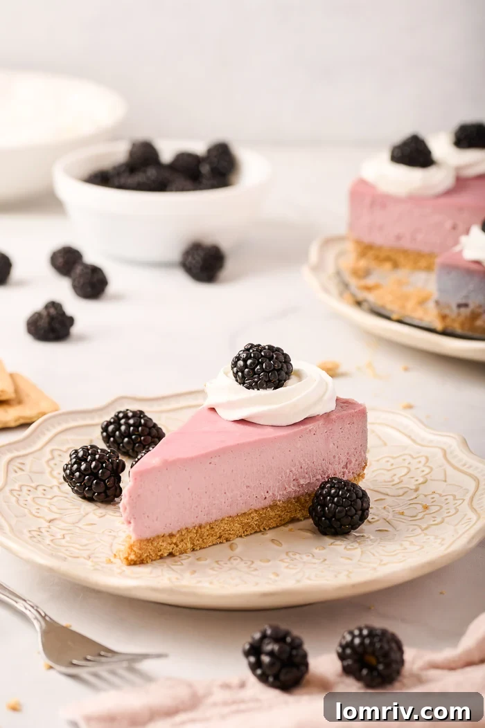 Blackberry Cheesecake