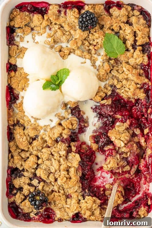 Blackberry crumble with ice cream.