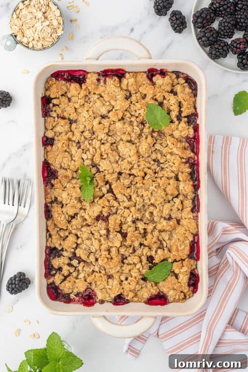 Blackberry crumble in a baking dish. 