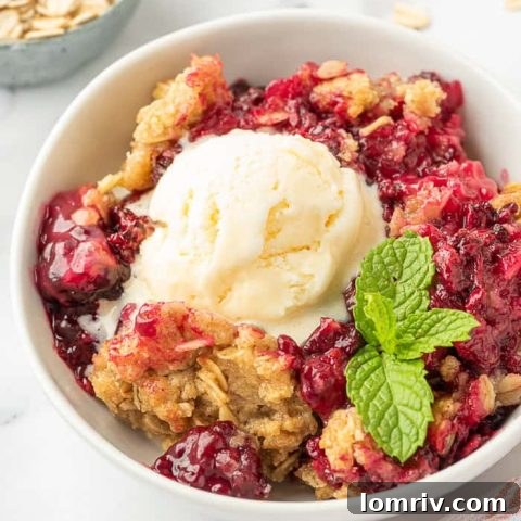 Blackberry crumble in a bowl.