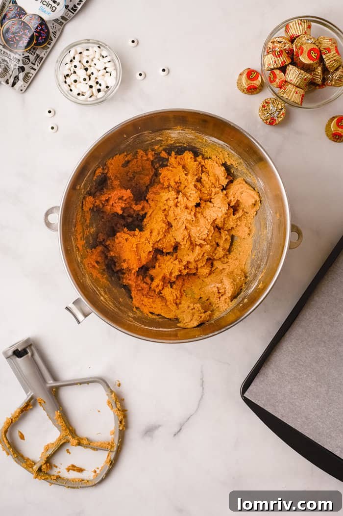 Mixing dry ingredients into the spider peanut butter cookie dough.