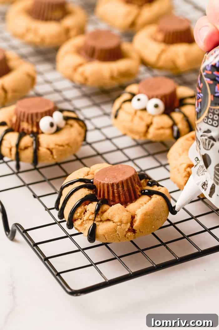 Piping spider legs onto a peanut butter cookie.