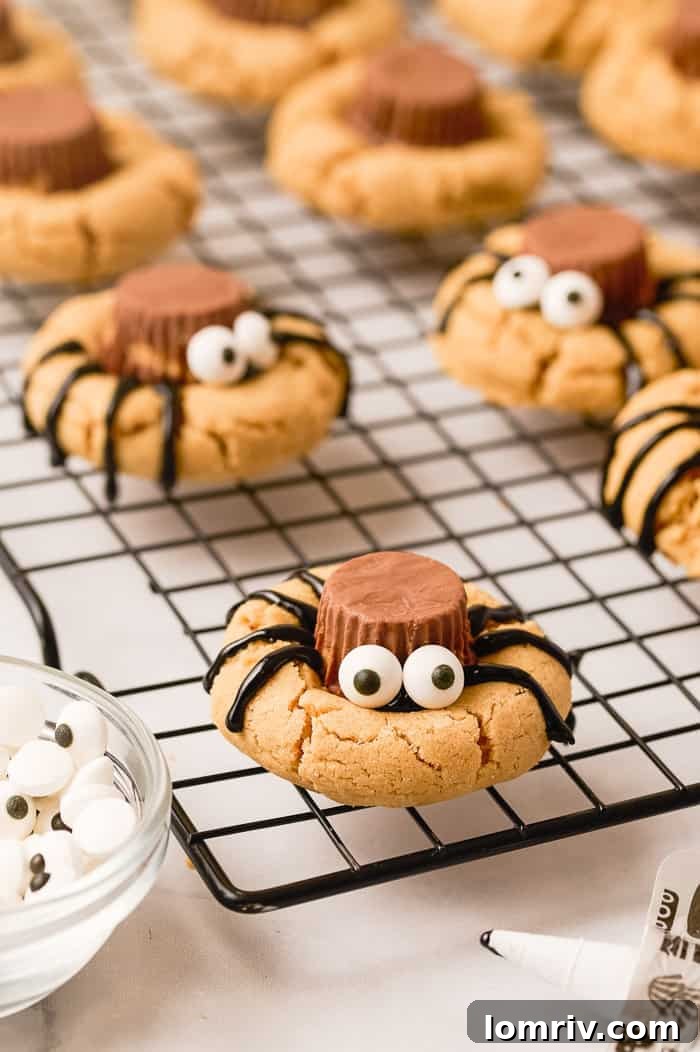 Finished spider peanut butter cookie with all decorations.