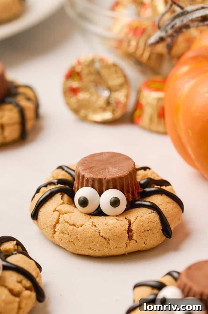 A close-up of a decorated spider peanut butter cookie.