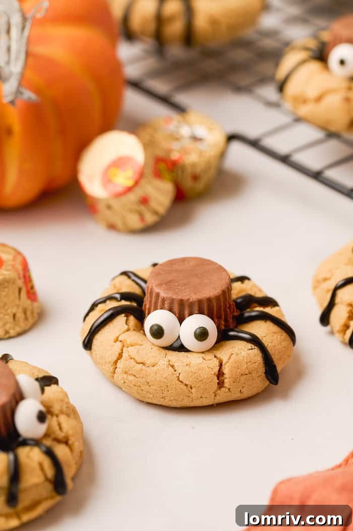 A single spider peanut butter cookie.