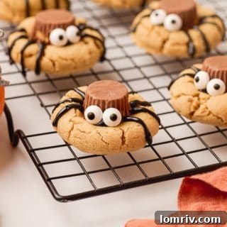 Spider Peanut Butter Cookies