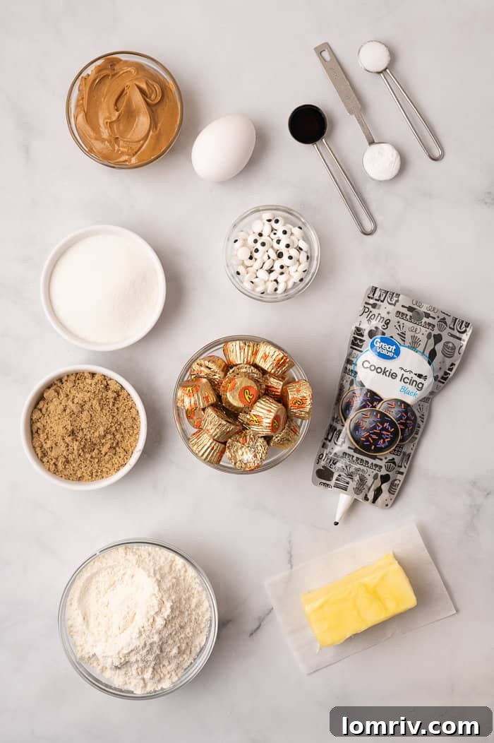 All the ingredients laid out for making spider peanut butter cookies.