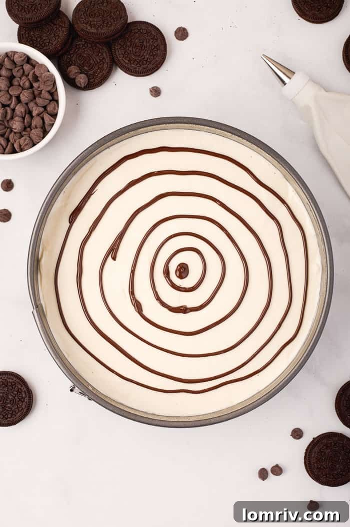 Piping concentric circles of melted dark chocolate onto the cheesecake surface, the initial step for creating the mesmerizing spider web.