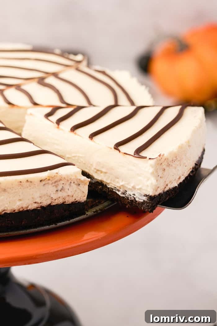 A close-up view of the no-bake spider web cheesecake, showcasing its elegant chocolate web design on a smooth, creamy surface, perfect for a Halloween celebration.
