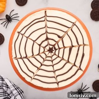 No Bake Spider Cheesecake