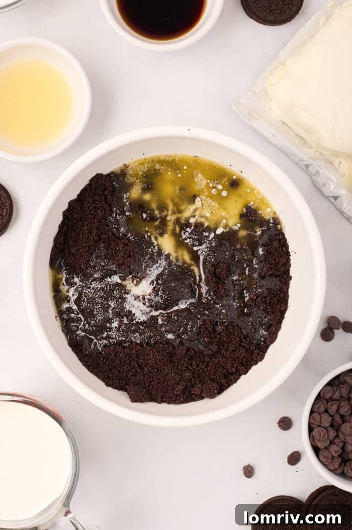 The crushed Oreo and melted butter mixture, perfectly combined and ready to be pressed into the springform pan.