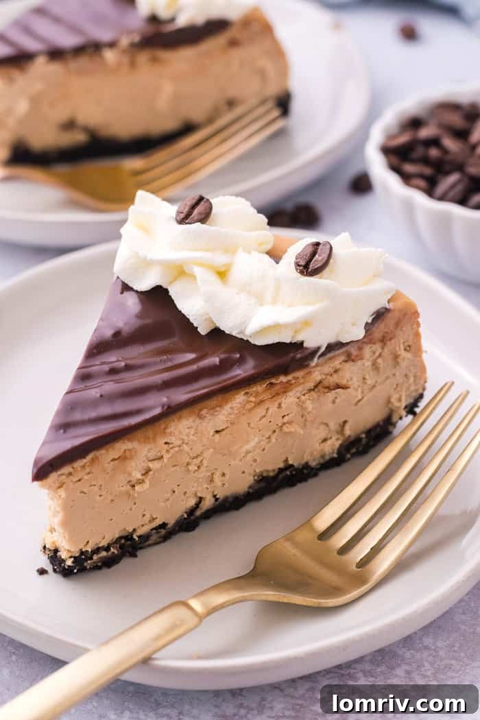 Mocha cheesecake slice on a plate, showcasing its rich layers and creamy texture.