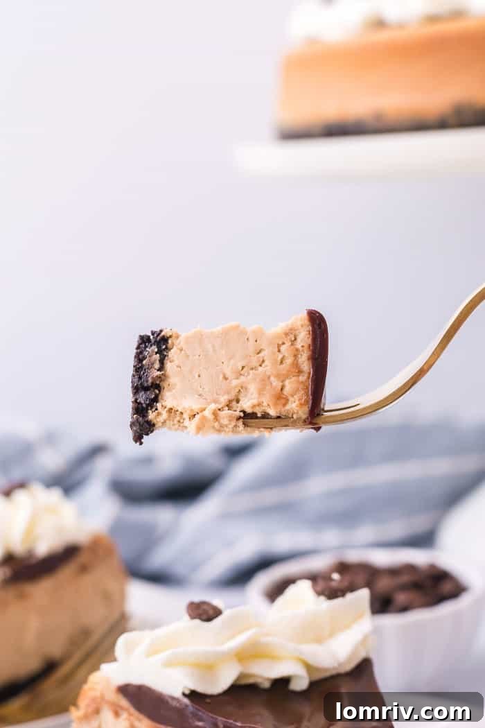 A close-up of a bite of mocha cheesecake on a fork, ready to be enjoyed.