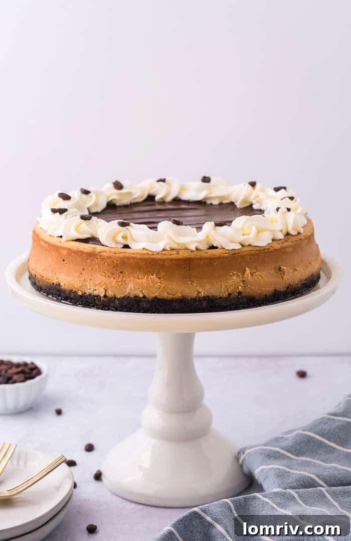 A whole mocha cheesecake presented beautifully on a cake stand, highlighting its elegant topping.