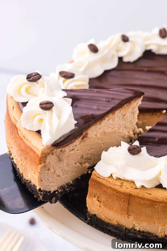 A slice of mocha cheesecake being carefully lifted from the main cake, showing its perfect structure.