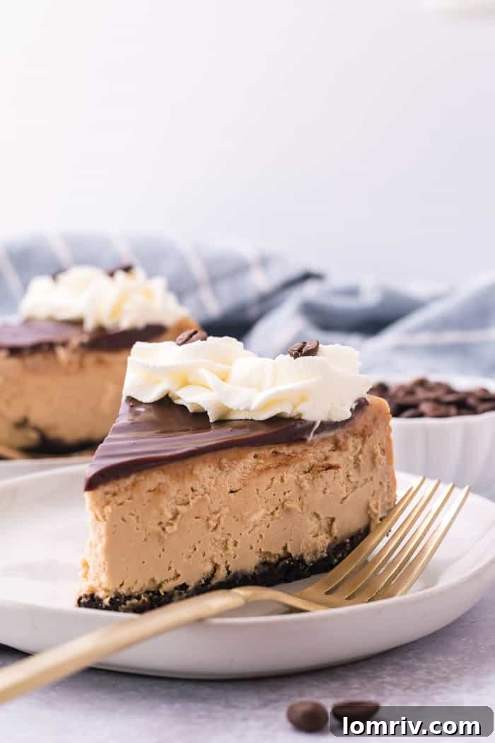 A close-up of a slice of mocha cheesecake, showing the crisp Oreo crust, creamy filling, and shiny ganache.