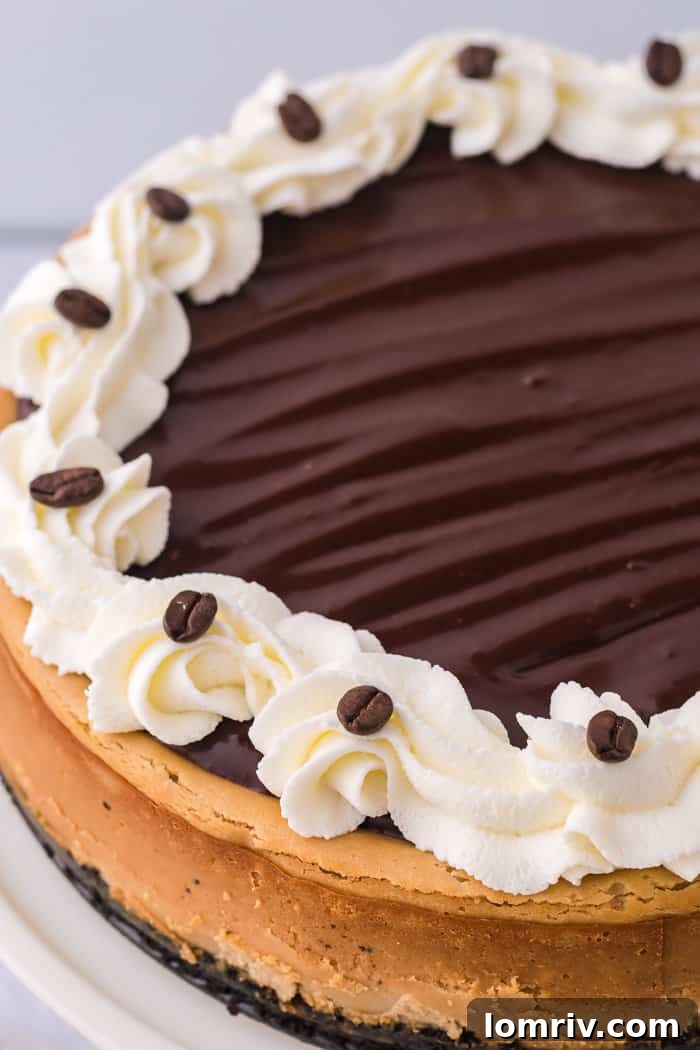 The mocha cheesecake baking in the oven, showing its beautiful rise and golden edges.