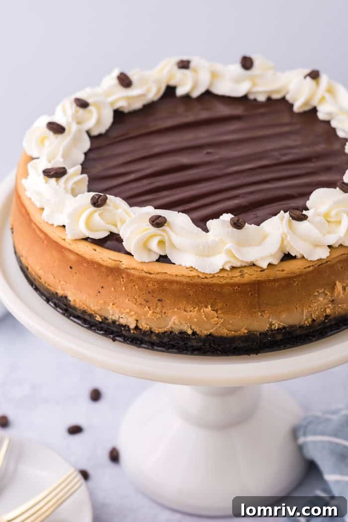 The finished mocha cheesecake on a cake stand, garnished with whipped cream and ready to be served.