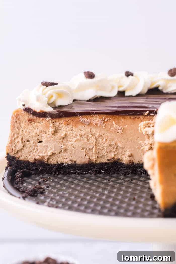 A stunning mocha cheesecake on a cake stand, highlighting its smooth surface and rich appearance.