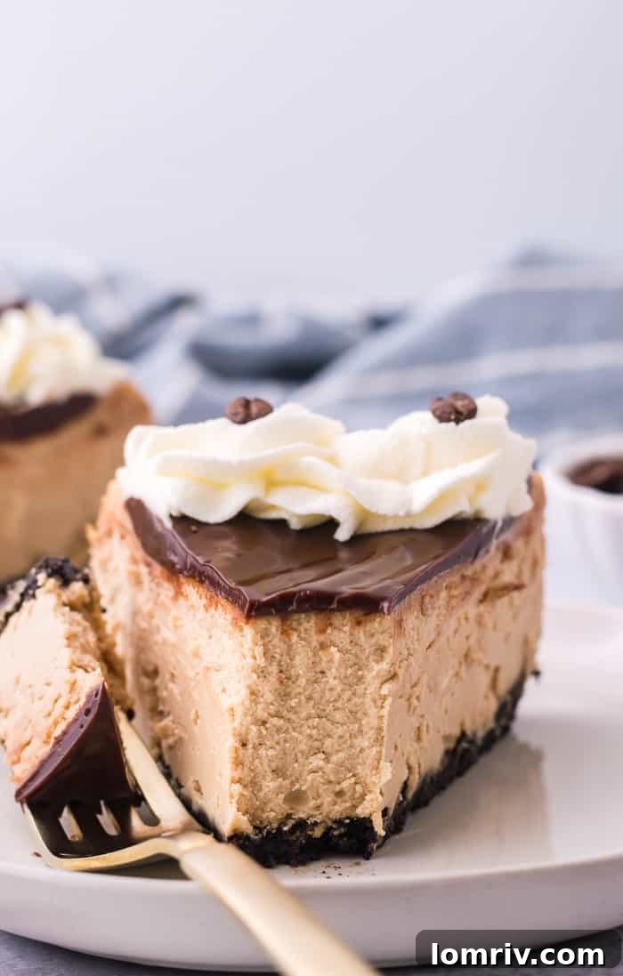 A pristine slice of mocha cheesecake on a white plate, showcasing its layers and professional cut.