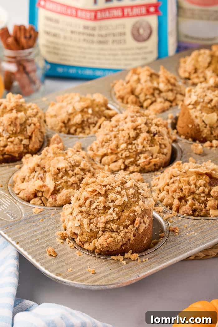 Pumpkin muffins neatly arranged in a non-stick muffin pan.
