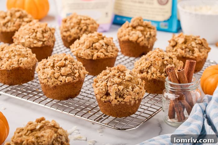 Many warm pumpkin muffins cooling on a metal wire rack.