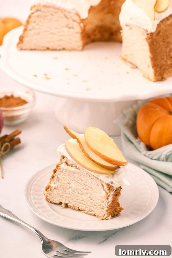 Slice of pumpkin spice angel food cake.
