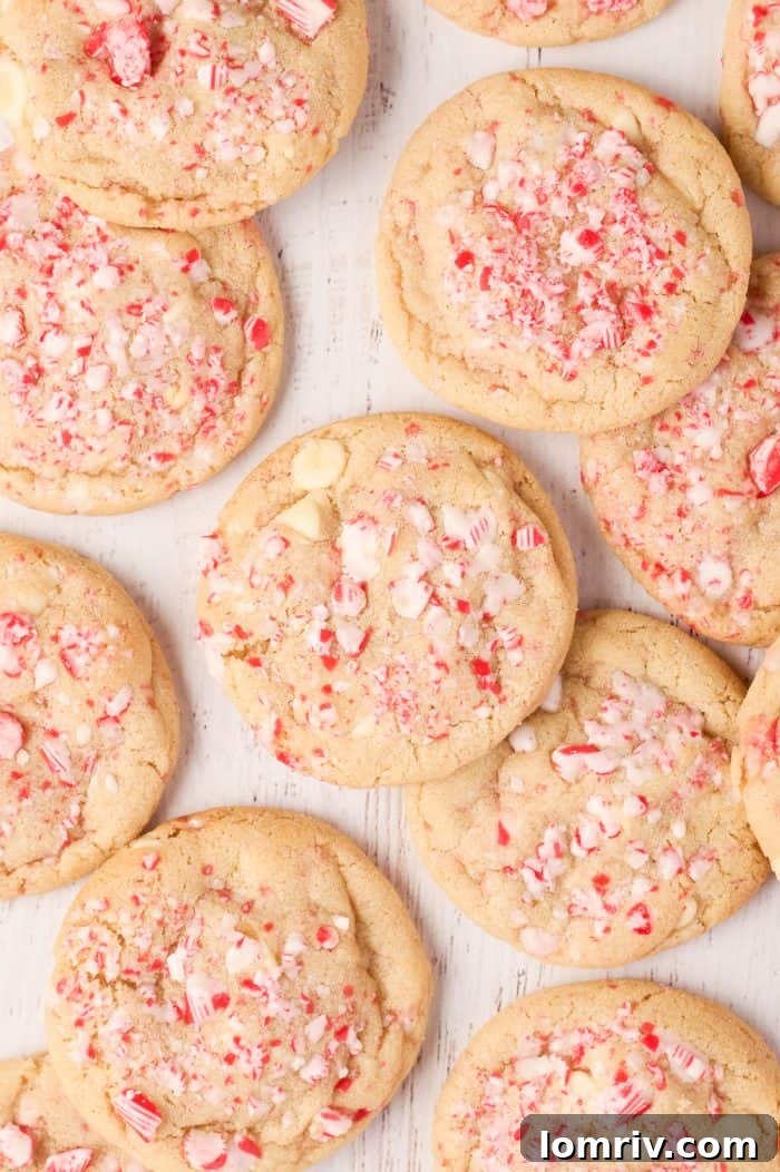 Close-up of baked peppermint white chocolate cookies on a parchment-lined cookie sheet, showing their even spread and toppings.