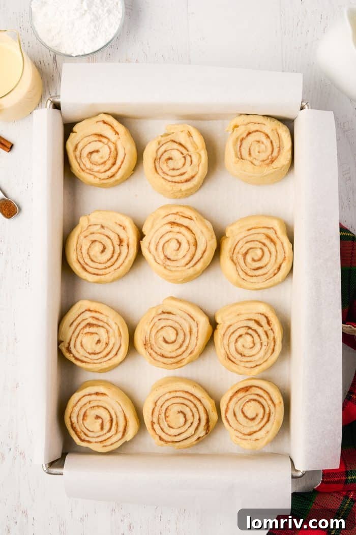 Eggnog cinnamon rolls arranged in a baking dish, perfectly spaced and ready for their second rise.