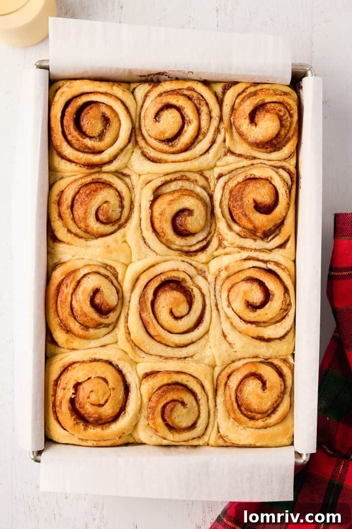 Close-up of perfectly baked Eggnog Cinnamon Rolls, awaiting their final touch of creamy icing.