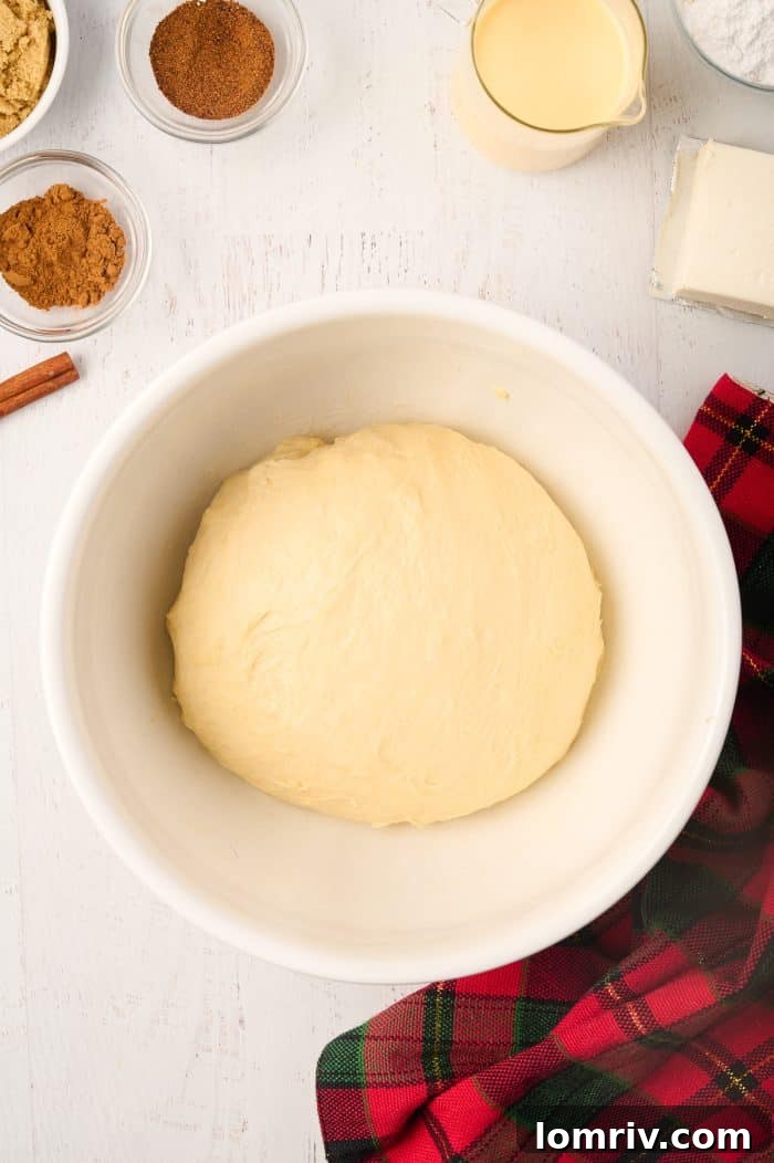 Eggnog cinnamon roll dough placed in a lightly buttered bowl, ready for its first rise.