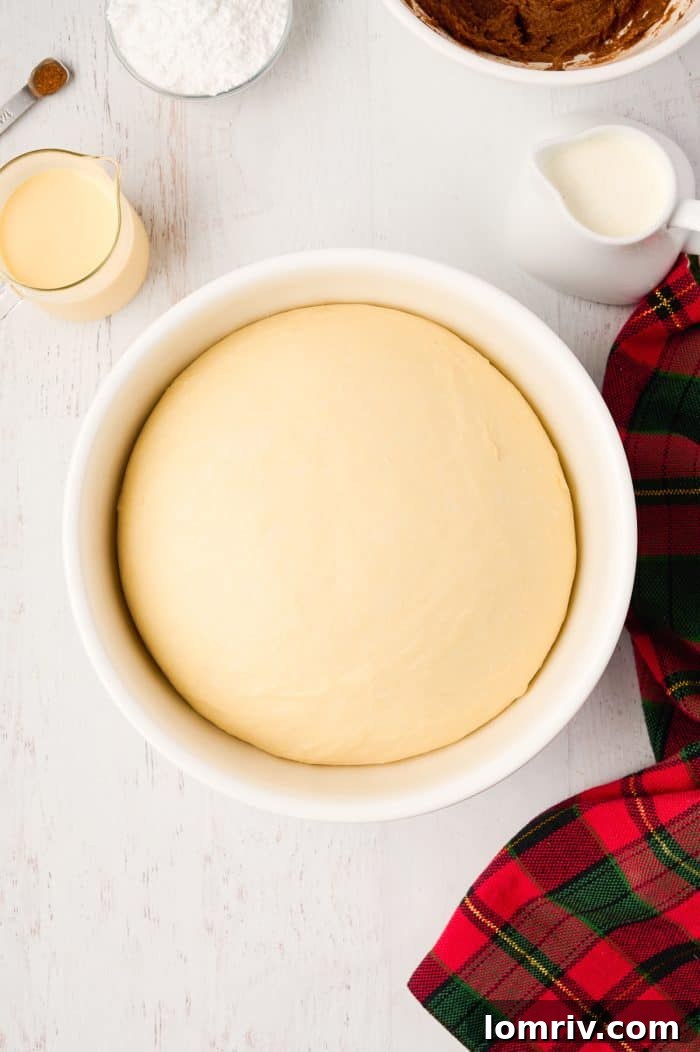 Eggnog cinnamon roll dough after successfully doubling in size during the first rise.