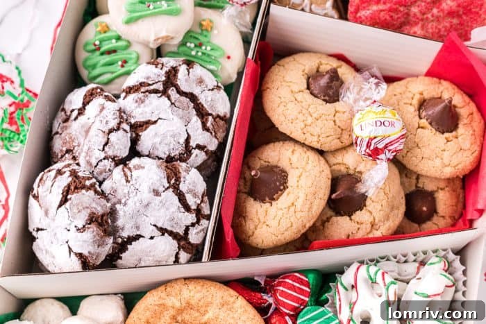 A selection of holiday cookies, perfect for a gift box.