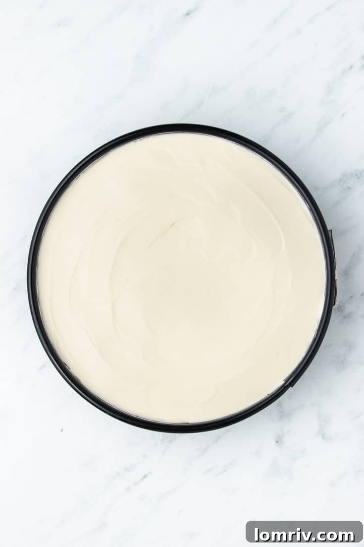 The no-bake cheesecake filling evenly spread over the crust in a springform pan, ready for its essential chilling period.