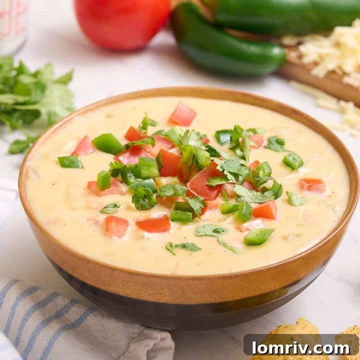 Homemade queso dip
