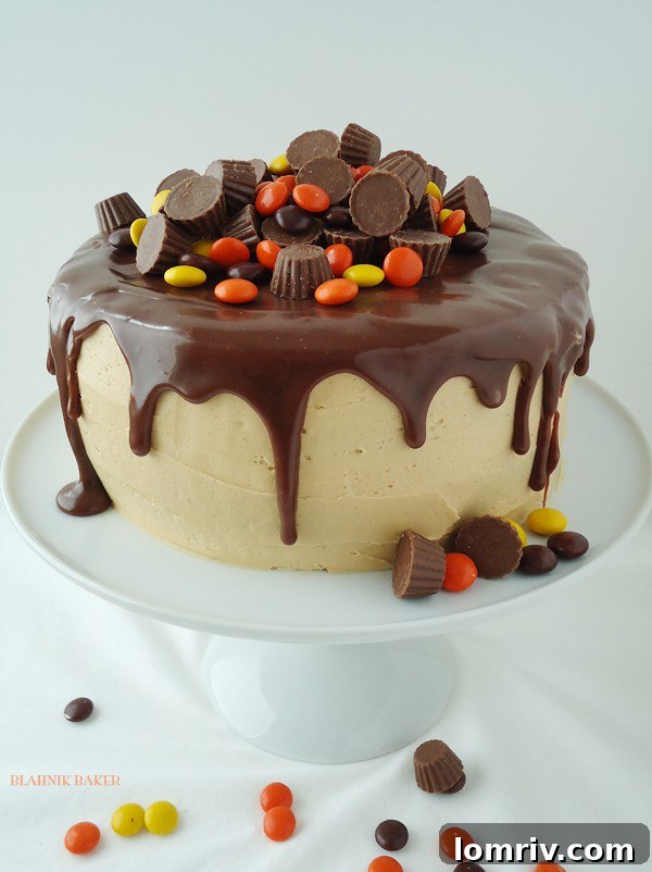 Rich Chocolate Peanut Butter Cake