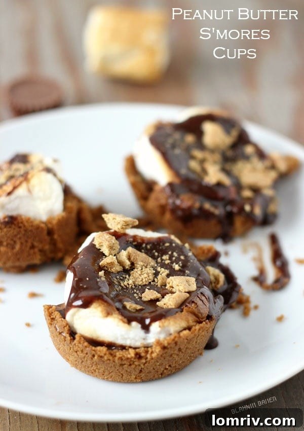 Irresistible Peanut Butter S'mores Cups