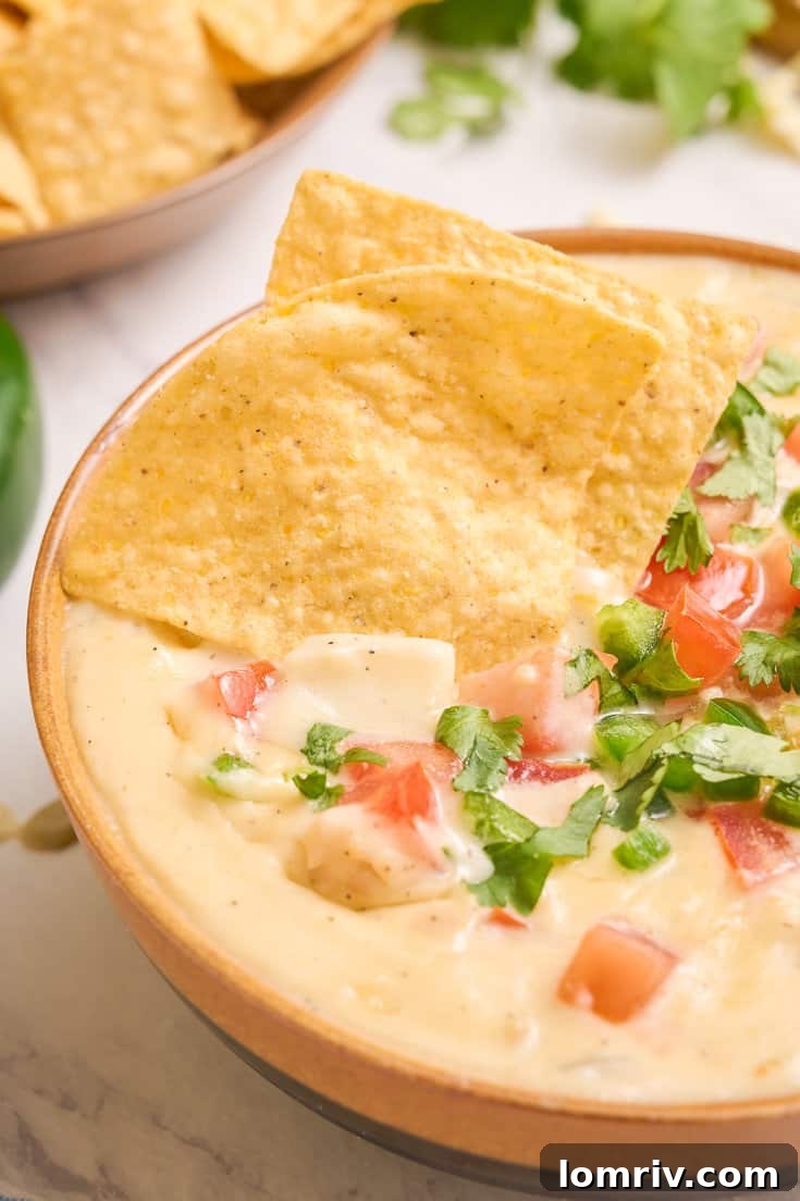 Homemade queso dip with some tortilla chips. 