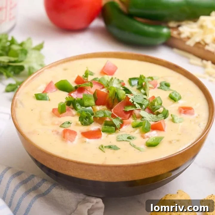 Homemade queso dip