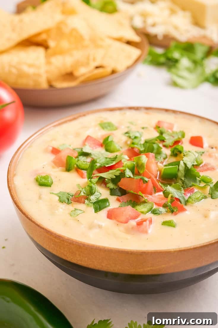 Homemade queso dip 